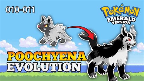 what does mightyena evolve into.